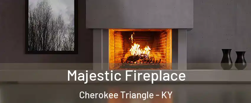 Majestic Fireplace Cherokee Triangle - KY