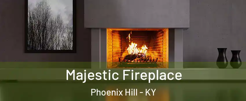 Majestic Fireplace Phoenix Hill - KY