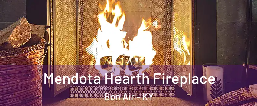 Mendota Hearth Fireplace Bon Air - KY