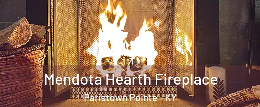 Mendota Hearth Fireplace Paristown Pointe - KY