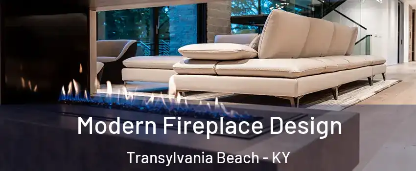 Modern Fireplace Design Transylvania Beach - KY