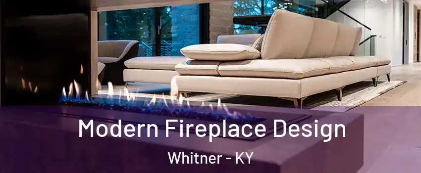 Modern Fireplace Design Whitner - KY