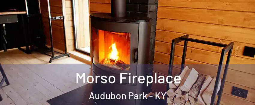 Morso Fireplace Audubon Park - KY