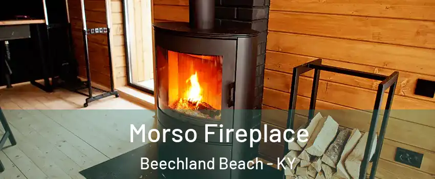 Morso Fireplace Beechland Beach - KY