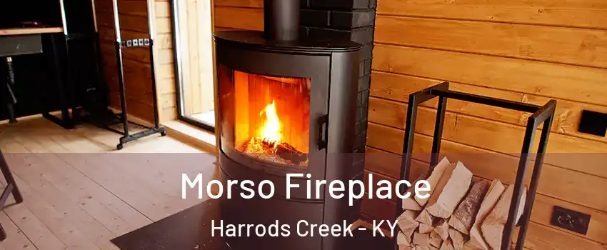 Morso Fireplace Harrods Creek - KY