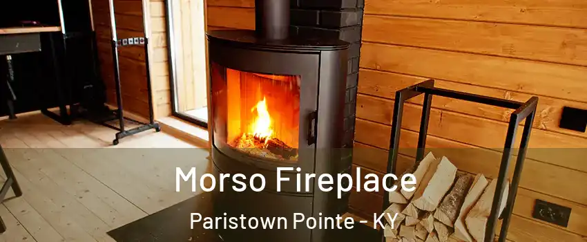 Morso Fireplace Paristown Pointe - KY