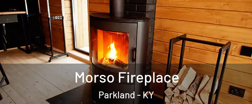 Morso Fireplace Parkland - KY