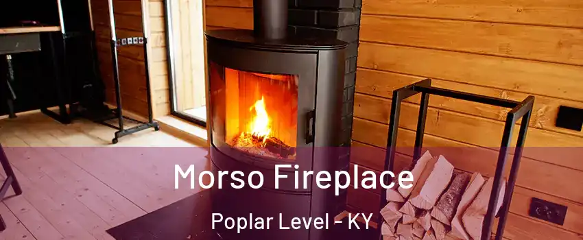 Morso Fireplace Poplar Level - KY