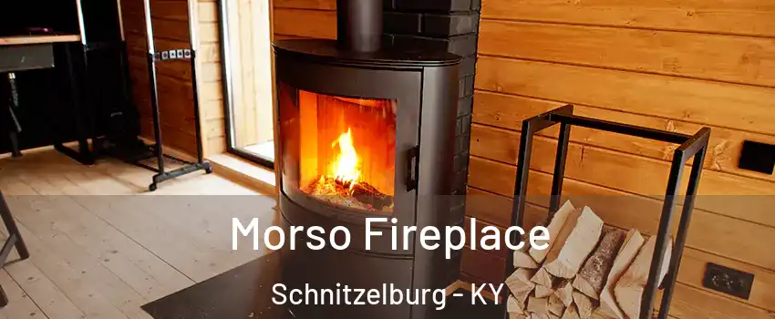 Morso Fireplace Schnitzelburg - KY