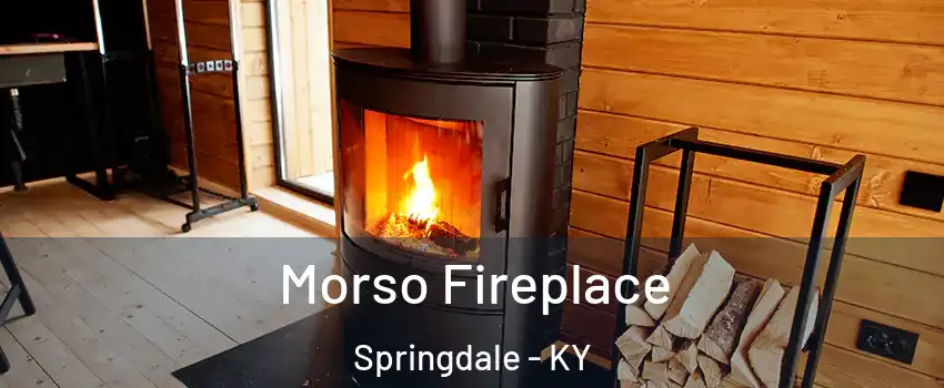 Morso Fireplace Springdale - KY