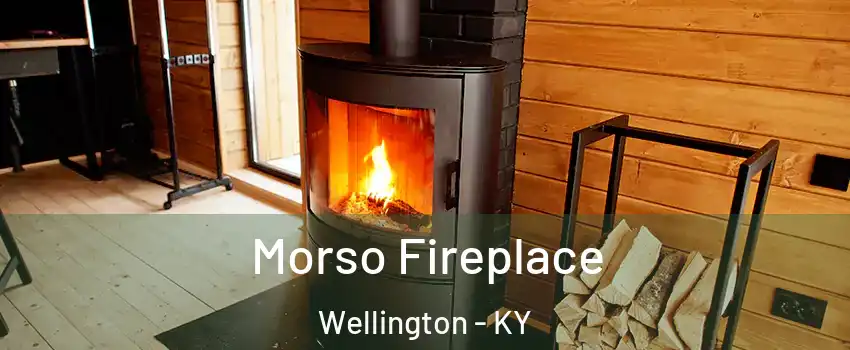 Morso Fireplace Wellington - KY