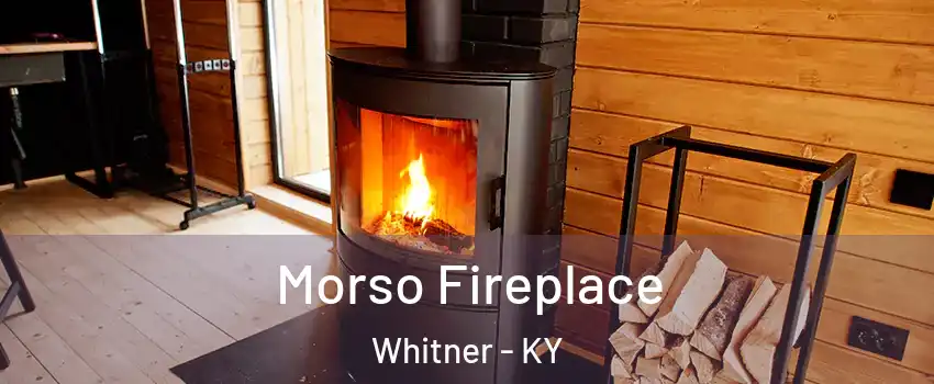 Morso Fireplace Whitner - KY