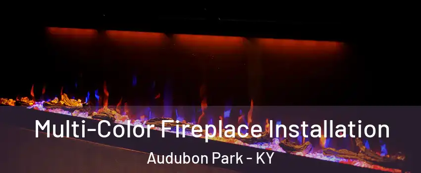 Multi-Color Fireplace Installation Audubon Park - KY