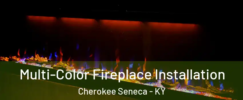 Multi-Color Fireplace Installation Cherokee Seneca - KY