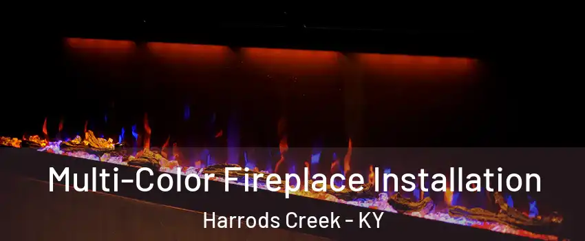 Multi-Color Fireplace Installation Harrods Creek - KY