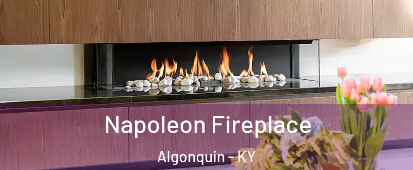 Napoleon Fireplace Algonquin - KY