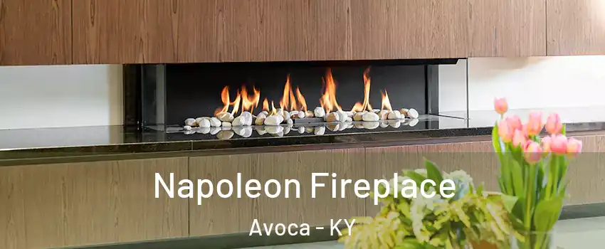 Napoleon Fireplace Avoca - KY