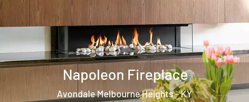 Napoleon Fireplace Avondale Melbourne Heights - KY