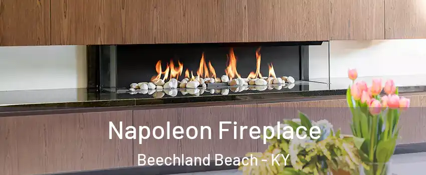 Napoleon Fireplace Beechland Beach - KY