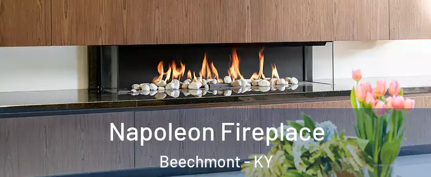 Napoleon Fireplace Beechmont - KY