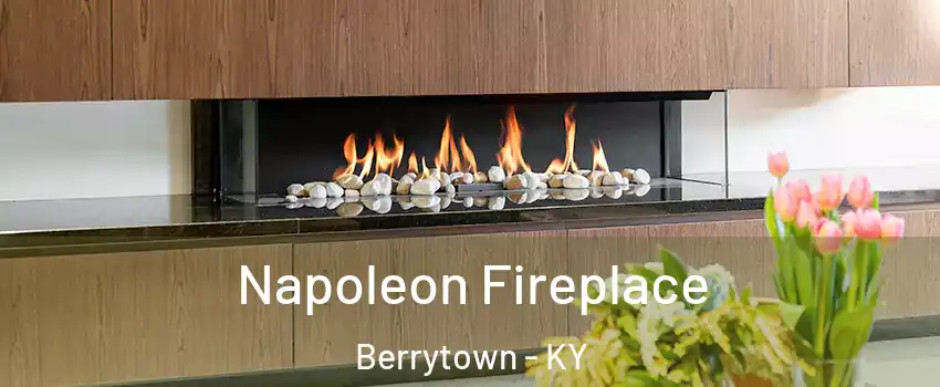 Napoleon Fireplace Berrytown - KY