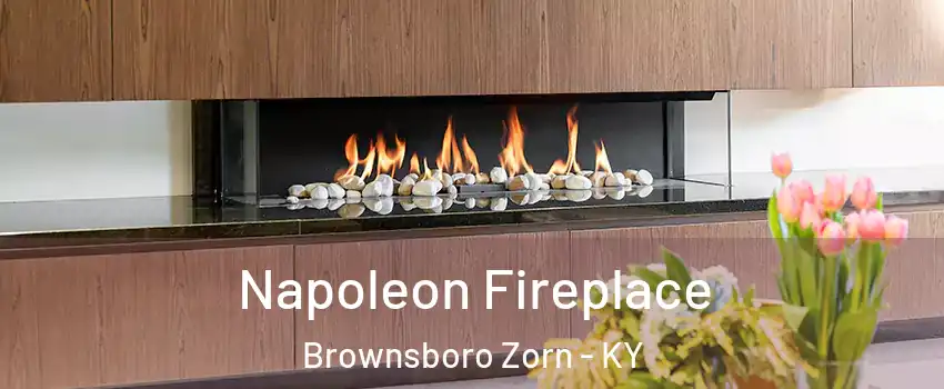 Napoleon Fireplace Brownsboro Zorn - KY