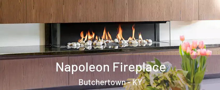 Napoleon Fireplace Butchertown - KY