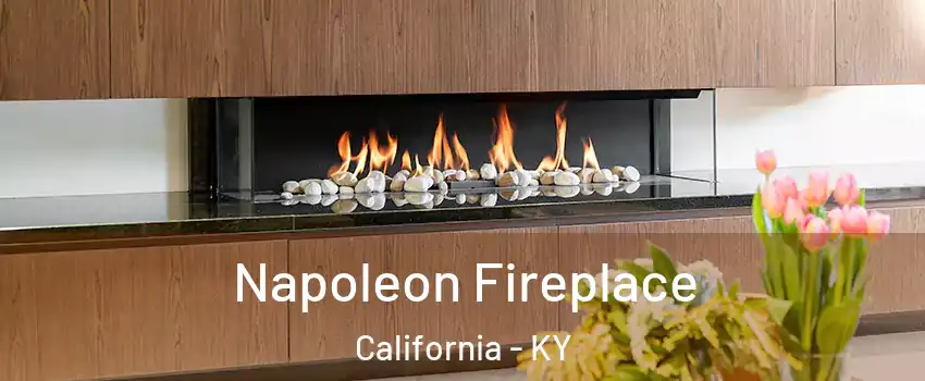 Napoleon Fireplace California - KY