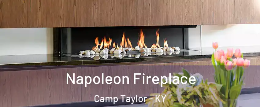 Napoleon Fireplace Camp Taylor - KY