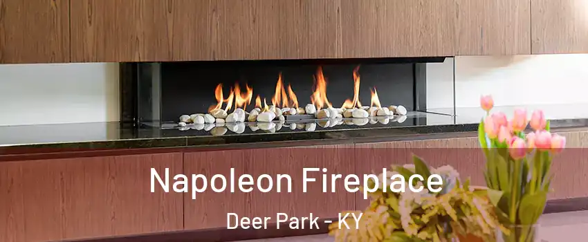 Napoleon Fireplace Deer Park - KY