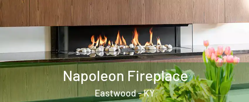 Napoleon Fireplace Eastwood - KY