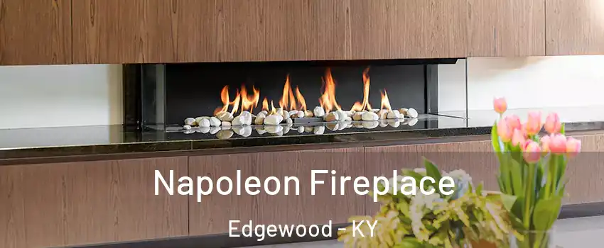 Napoleon Fireplace Edgewood - KY