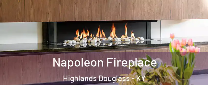 Napoleon Fireplace Highlands Douglass - KY