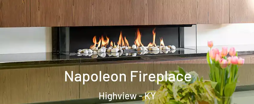 Napoleon Fireplace Highview - KY