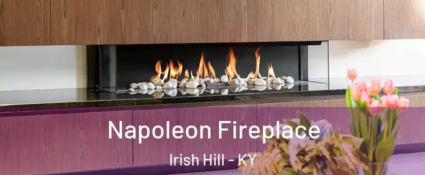 Napoleon Fireplace Irish Hill - KY