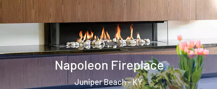 Napoleon Fireplace Juniper Beach - KY