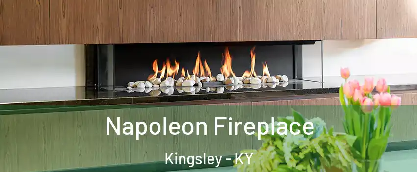 Napoleon Fireplace Kingsley - KY