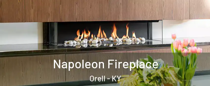 Napoleon Fireplace Orell - KY