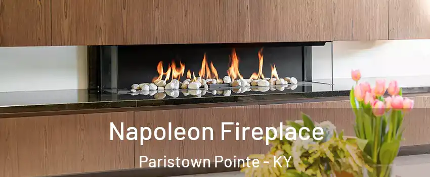 Napoleon Fireplace Paristown Pointe - KY