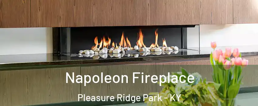 Napoleon Fireplace Pleasure Ridge Park - KY