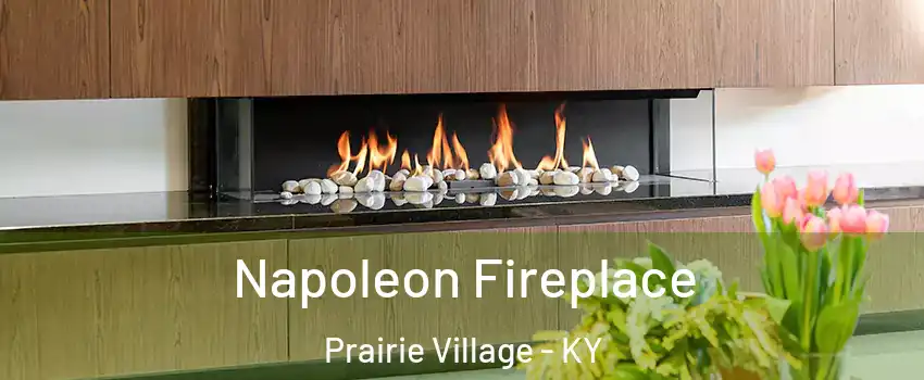 Napoleon Fireplace Prairie Village - KY