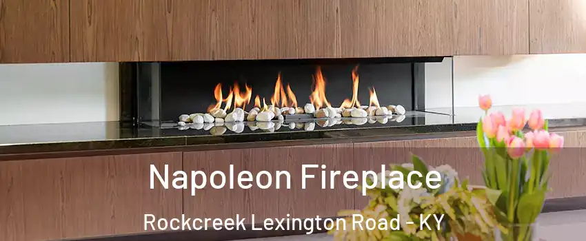 Napoleon Fireplace Rockcreek Lexington Road - KY