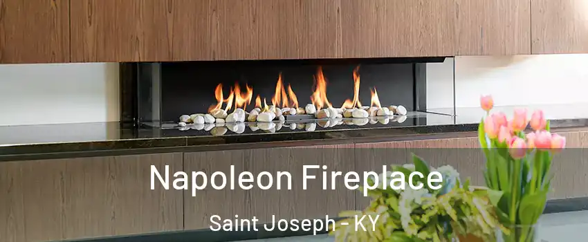 Napoleon Fireplace Saint Joseph - KY