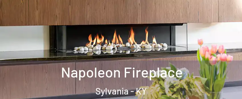 Napoleon Fireplace Sylvania - KY