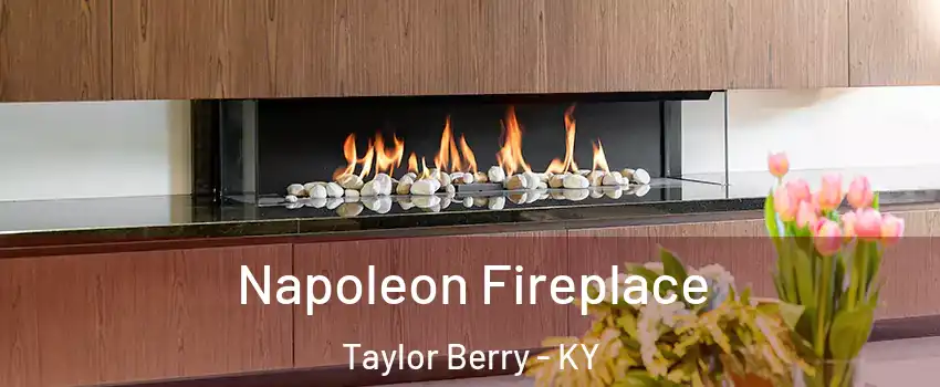 Napoleon Fireplace Taylor Berry - KY