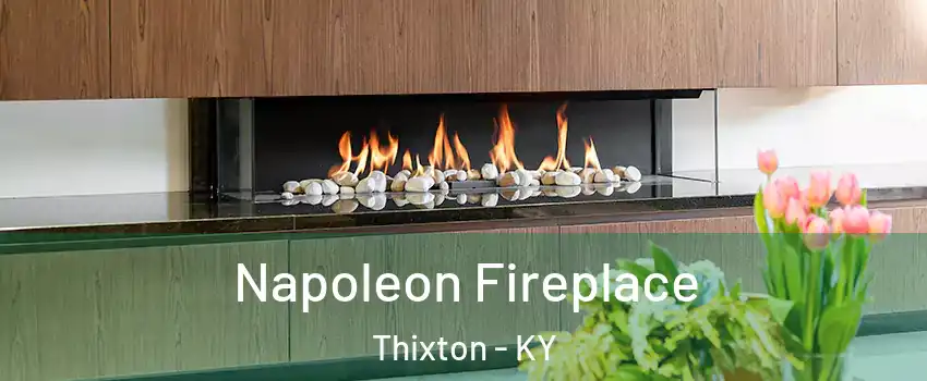 Napoleon Fireplace Thixton - KY