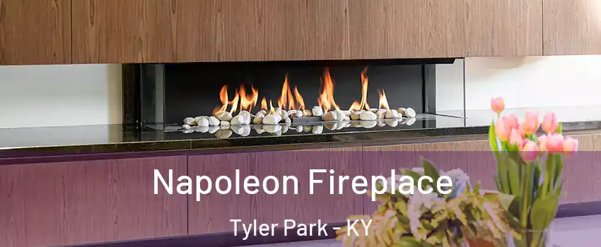 Napoleon Fireplace Tyler Park - KY