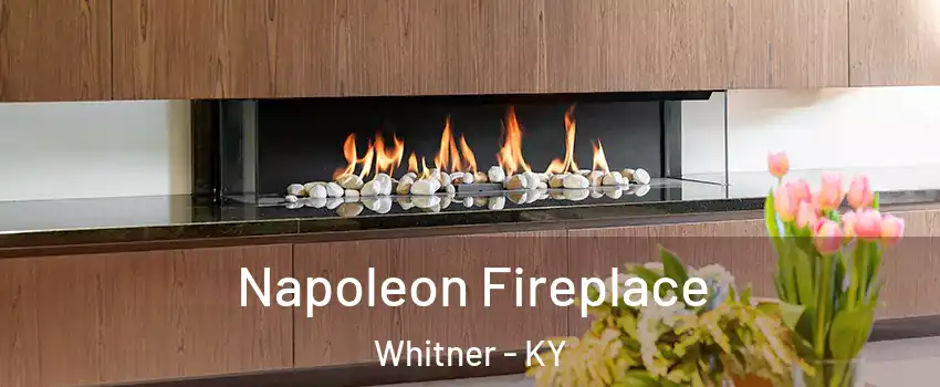 Napoleon Fireplace Whitner - KY