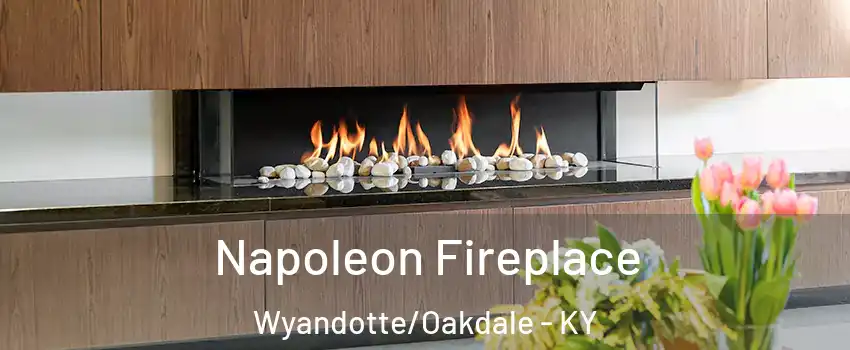 Napoleon Fireplace Wyandotte/Oakdale - KY