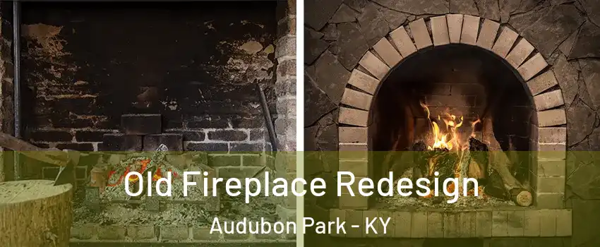 Old Fireplace Redesign Audubon Park - KY